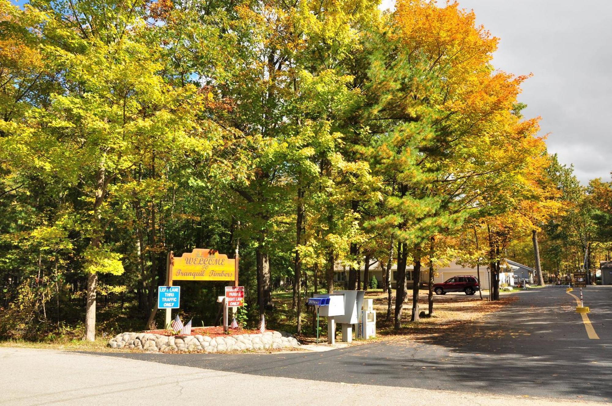 Tranquil Timbers Cabin 11 สเตอร์เจียนเบย์ ภายนอก รูปภาพ